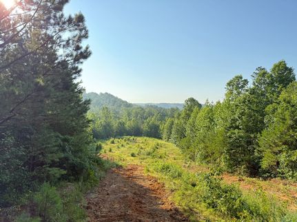 Property for sale in Marion County, Alabama