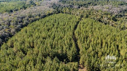 Hunting Land for sale in Washington County, Florida