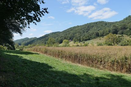Recreational Property for sale in Scott County, Virginia