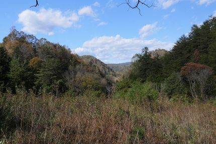 Timberland Property for sale in Scott County, Virginia