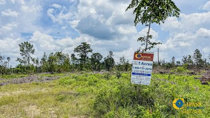 Undeveloped Land for sale in Bradley County, Arkansas