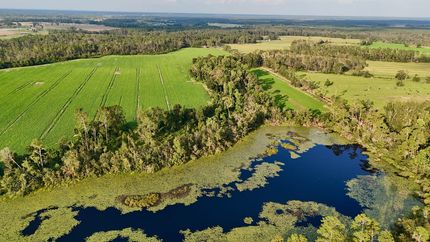 Horse Property for sale in Jeff Davis County, Georgia