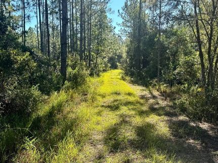 Property for sale in Levy County, Florida