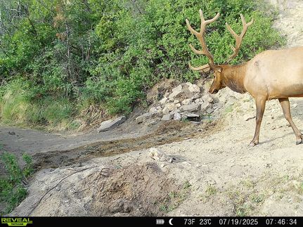 Property for sale in Mesa County, Colorado