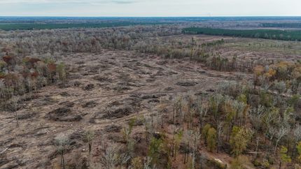 Timberland Property for sale in Cleveland County, Arkansas