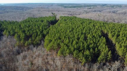Hunting Land for sale in Stewart County, Tennessee