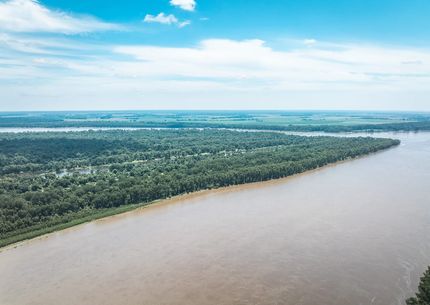 Timberland Property for sale in Fulton County, Kentucky