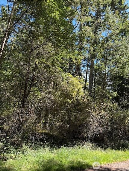 Undeveloped Land for sale in San Juan County, Washington