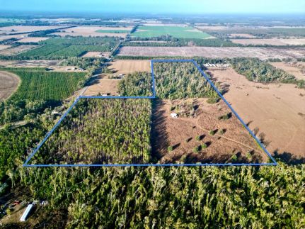 Farm Property for sale in Lafayette County, Florida