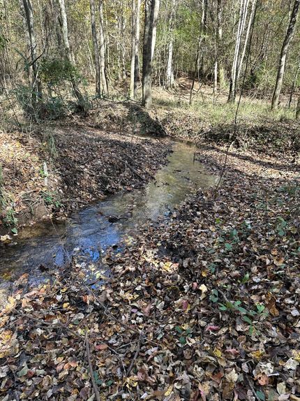 Property for sale in Barbour County, Alabama