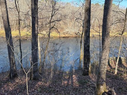 Ranch Property for sale in Cleburne County, Arkansas
