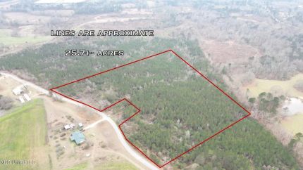 Undeveloped Land for sale in Simpson County, Mississippi