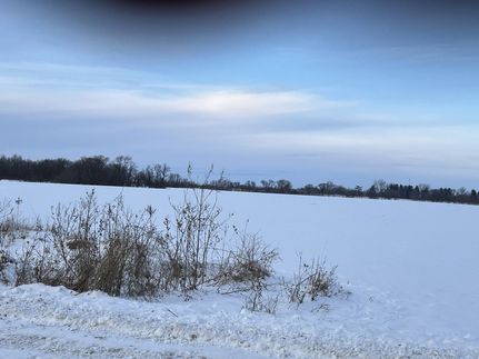 Property for sale in Scott County, Iowa