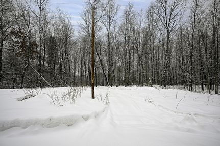 Recreational Property for sale in Washburn County, Wisconsin