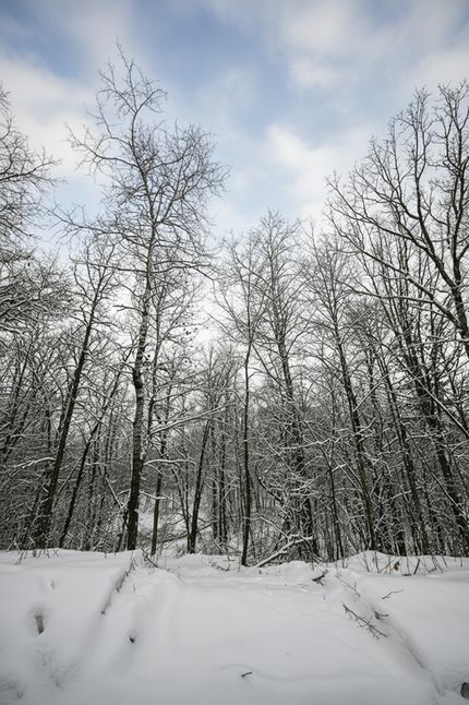 Property for sale in Washburn County, Wisconsin