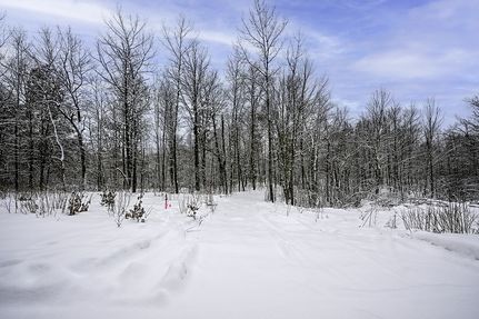 Property for sale in Washburn County, Wisconsin