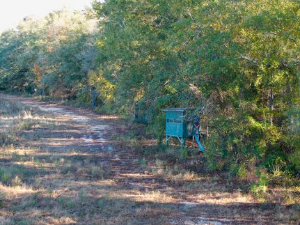 Hunting Land for sale in Jefferson County, Georgia