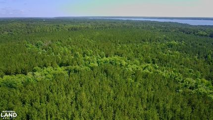 Timberland Property for sale in Henry County, Alabama