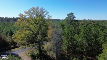 Property for sale in Clarendon County, South Carolina