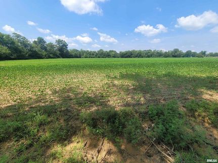 Farm Property for sale in Hamilton County, Illinois