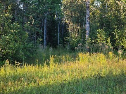 Ranch Property for sale in Chippewa County, Michigan