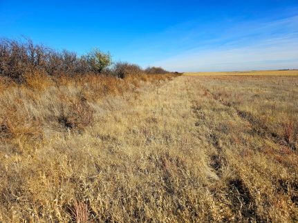 Property for sale in Cheyenne County, Nebraska