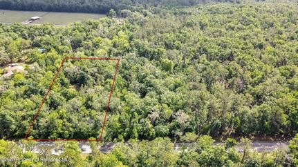 Undeveloped Land for sale in Hernando County, Florida