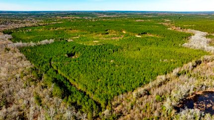 Property for sale in Macon County, Georgia