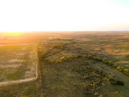 Undeveloped Land for sale in Ellis County, Oklahoma