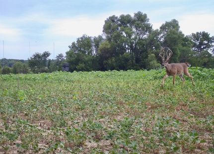 Ranch Property for sale in Tazewell County, Illinois