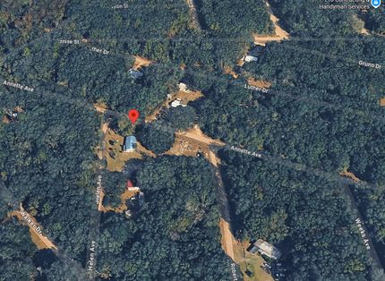 Undeveloped Land for sale in Putnam County, Florida