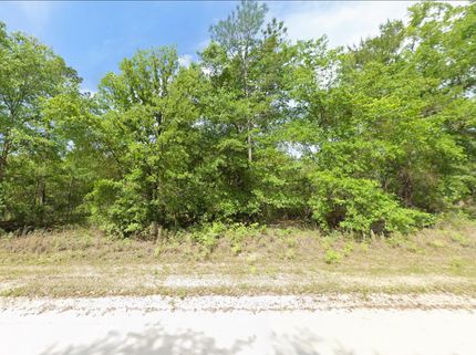 Undeveloped Land for sale in Columbia County, Florida
