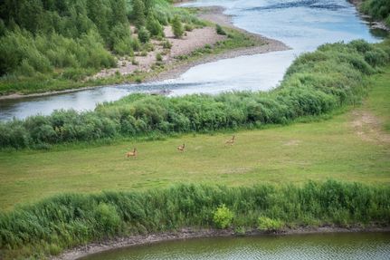 Farm Property for sale in Routt County, Colorado