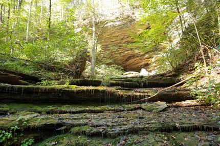 Undeveloped Land for sale in Overton County, Tennessee