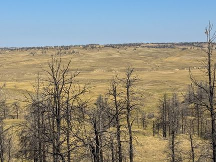 Undeveloped Land for sale in Treasure County, Montana