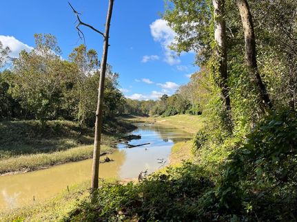 Undeveloped Land for sale in Wilkinson County, Mississippi