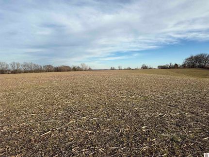 Farm Property for sale in Carlisle County, Kentucky