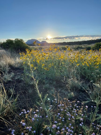Ranch Property in Catron County, New Mexico