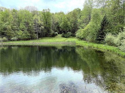 Ranch Property for sale in Steuben County, New York