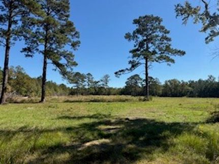 Ranch Property for sale in Montgomery County, Alabama