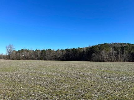 Undeveloped Land for sale in Lafayette County, Mississippi
