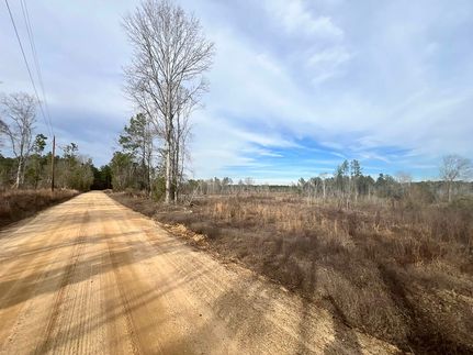 Undeveloped Land for sale in Wayne County, Mississippi