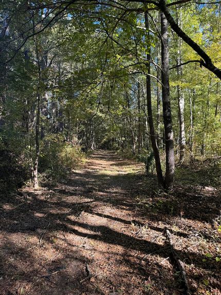 Farm Property for sale in Leake County, Mississippi