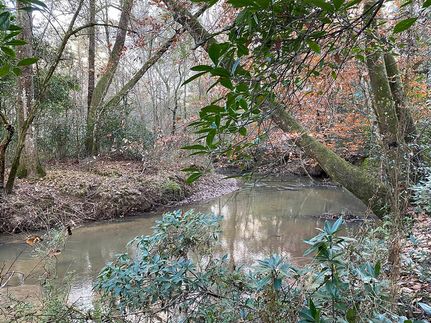 Ranch Property for sale in Amite County, Mississippi