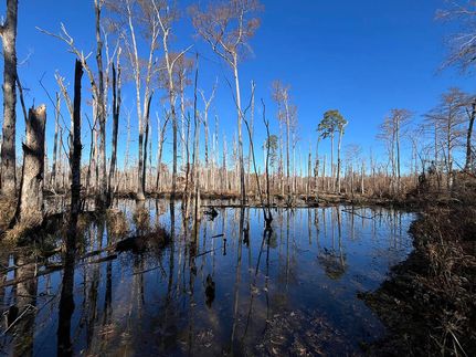 Timberland Property for sale in Jackson Parish, Louisiana