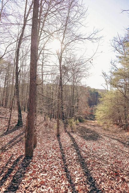 Undeveloped Land for sale in Rhea County, Tennessee