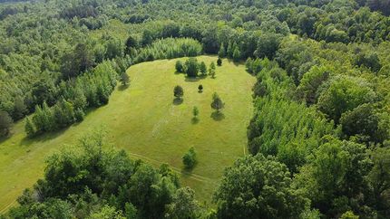 Undeveloped Land for sale in Jefferson Davis County, Mississippi