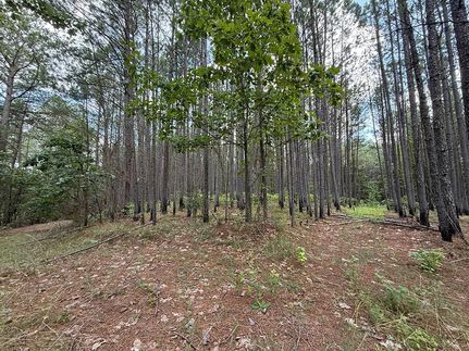 Ranch Property for sale in Attala County, Mississippi