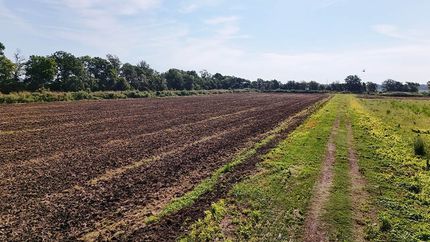 Property for sale in Bolivar County, Mississippi