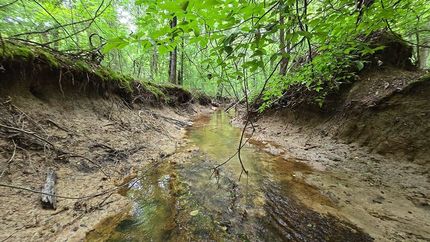 Property for sale in Choctaw County, Mississippi